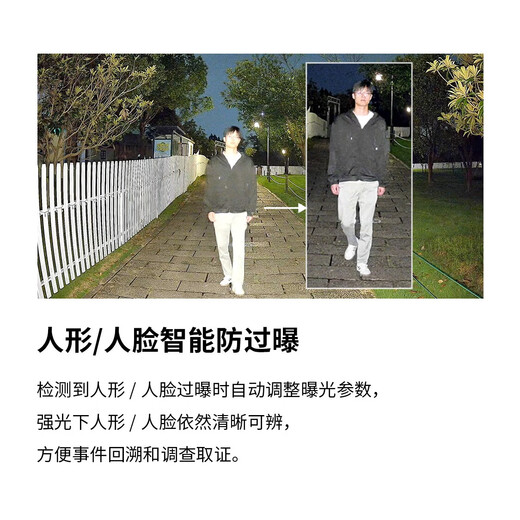 TP-LINK Dual-Kamera 8 Millionen + 8 Millionen Vollfarb-Überwachungskamera, Heimmonitor, 360 Grad, keine toten Winkel, mit Nachtsicht, Panorama-Tracking, kabellose Outdoor-Netzwerk-Fernbedienung