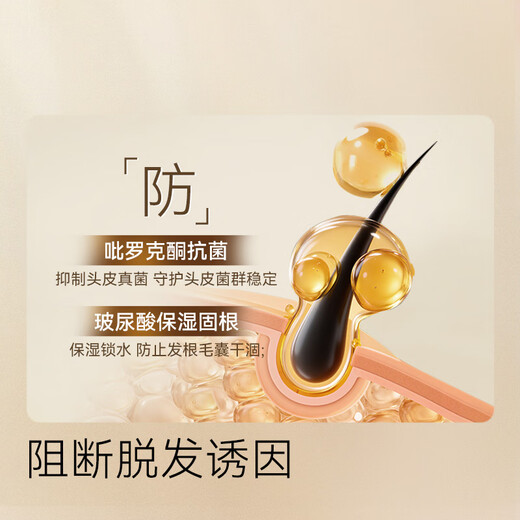 Jingdong Anti-hair Loss Shampoo, Ginger Platycladus Leaf, Hair Firming and Hair Restoration for Men and Women, Removes Oil and Itching, Fluffy Shampoo Cream Gold List