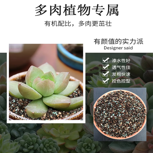 Succulent soil special nutritional soil fleshy granular soil plant planting soil paving stone leaf insert household peat soil large bag 50% granular succulent soil 10Jin Jin is equal to 0.5 kg