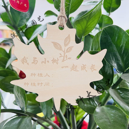 Yong Huan 10 pieces of custom-made wooden hanging tags for school Arbor Day tags, tree adoption tags, plant tags, name cards, blank boards, 10 pieces, note numbers