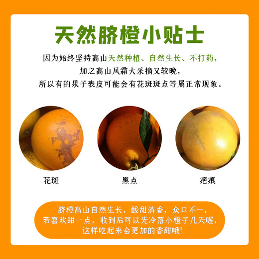 Orange navel Gannan, orange navel Gannan authentique, orange Jiangxi Ganzhou, orange pelée à la main, coffret cadeau de fruits frais, fraîchement cueillis en saison, 10 Jin Jin est égal à 0,5 kg, fruit unique sélectionné 110-160 g, poids net 9 Jin Jin est égal à 0,5 kg +
