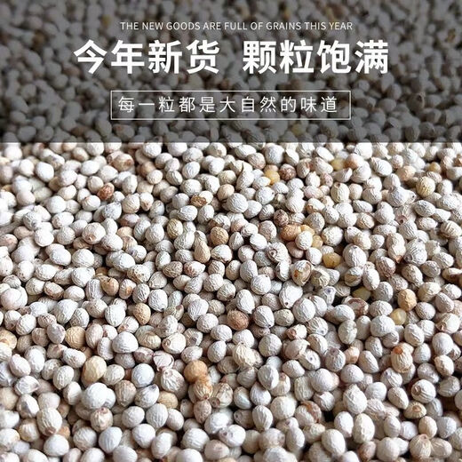 New white perilla large grain perilla seeds bird food canary hibiscus bird oriole pearl white swallow jade bird food parrot bird food 1Jin Jin is equal to 0.5 kg white perilla