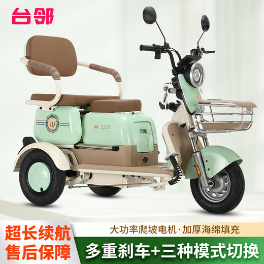 Tailin electric tricycle, electric scooter for the elderly to pick up and drop off children, leisure scooter for the elderly, electric three-wheel battery scooter, light green - free windshield quilt, Chaowei battery 48v20A + battery life 55 kilometers + 600w
