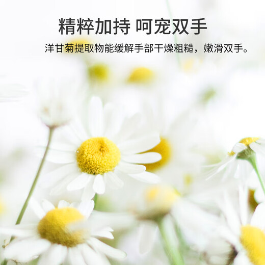 Chamomile hand cream for men and women, moisturizing autumn and winter anti-drying and anti-freeze cracking hand cream moisturizing lotion Chamomile hand cream 200g X1 bottle