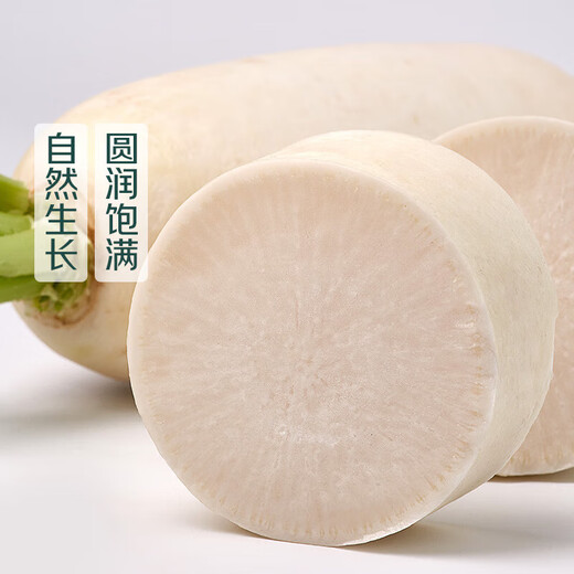 Frosted vegetables Gaoping snowy white radish about 700g