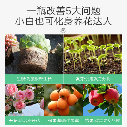 YWZR Potassium Dihydrogen Phosphate Flower Fertilizer Household Potassium Flower Planting Compound Fertilizer Green Plants Flower Potted Plants Universal Type Potassium Dihydrogen Phosphate 500g250g2
