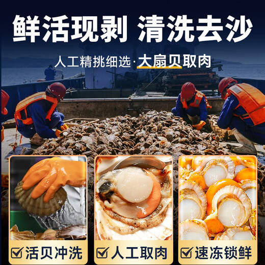 Selling Fish Qilang Frozen Large Yellow Scallop Meat Net Weight 3Jin Jin is equal to 0.5kg, about 120-180 pieces, clean and sand-free, barbecue seafood