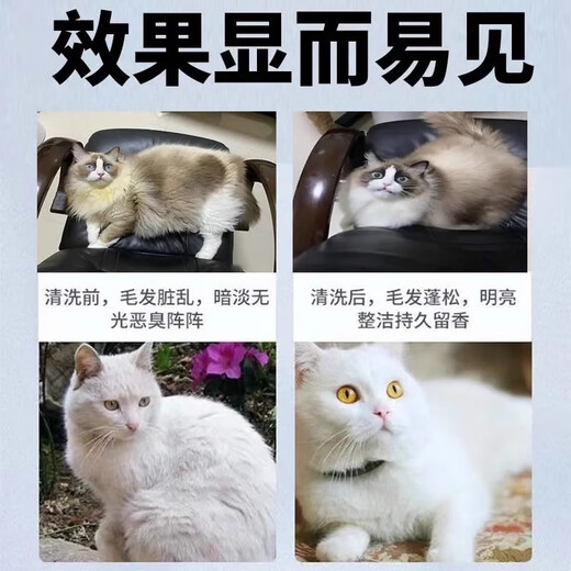 Cat hair removal, yellow hair whitening, removal of yellow hair and tear stains at the corners of the mouth, puppet black chin oil, tail cleaning, dry cleaning mousse, three bottles, buy 2, get 1 free, remove yellow hair and whiten