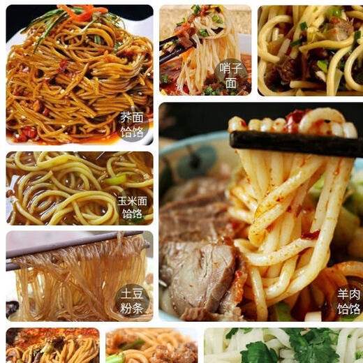 Homemade glutinous rice noodle machine manual glutinous rice noodle machine Heluo noodle machine hand-pressed stainless steel supreme thickened double bearing model + stainless steel barrel + 4 grinding tools