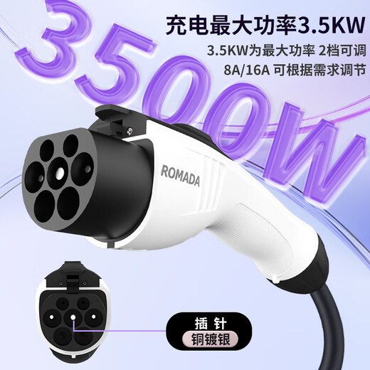 ROMADA is suitable for BYD Qin PLUS discharge gun new energy vehicle universal external discharge plug strip socket row outdoor electrical appliance external power converter 3 meters charging and discharging integrated gun + storage bag - 4 square lines outdoor travel power converter 220V