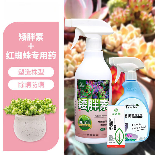 OUOETY succulent dwarf nutrient solution specializes in preventing and controlling leggy growth, increasing color and strengthening agent, promoting root growth chlormequat no-dilution fertilizer, preventing red spider succulent dwarf + red spider special