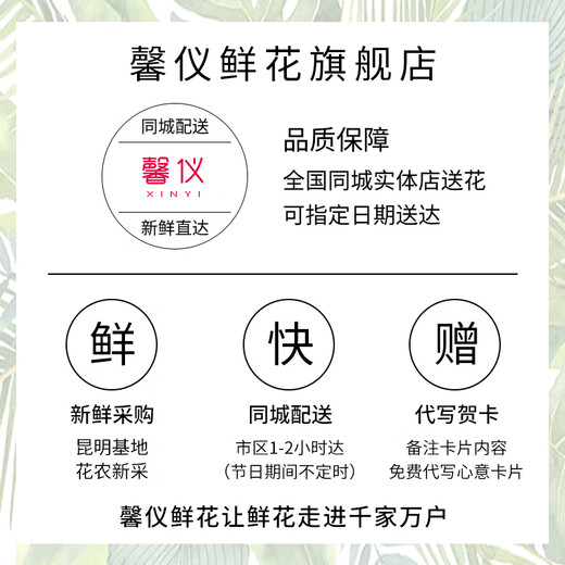 Xinyi Flower Express Roses, Sunflowers and Carnations Bouquets Birthday Gifts Delivered Nationwide in the City Carnations, Pink Roses Mix and Match Bouquets