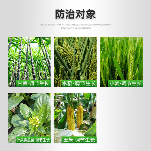 Yunda 120 Yunda 120 28 table high brassinolide leafy vegetables wheat corn plant growth regulator agricultural 10ml