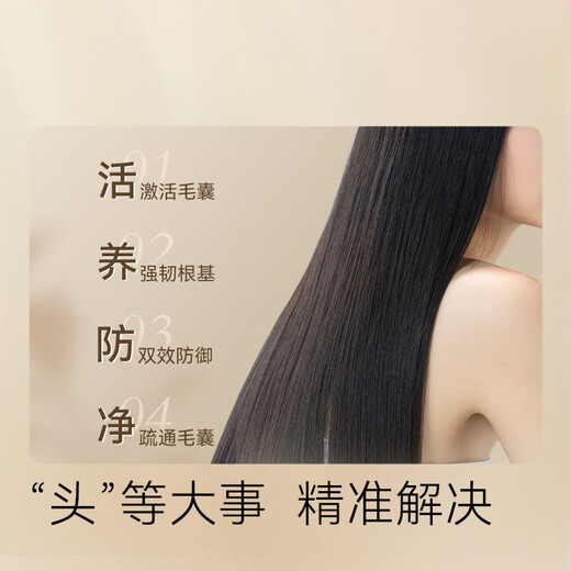 Jingdong Anti-hair Loss Shampoo, Ginger Platycladus Leaf, Hair Firming and Hair Restoration for Men and Women, Removes Oil and Itching, Fluffy Shampoo Cream Gold List