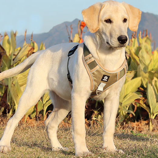 COCS dog harness for medium and large dogs, vest-type traction rope, anti-collision and explosion-proof Labrador Golden Retriever Shiba Inu border collie dog leash 1 Khaki dog harness - 1.5m dog leash 1 L-(chest 54-71cm recommended 28-45 Jin Jin equals 0.5 kg)