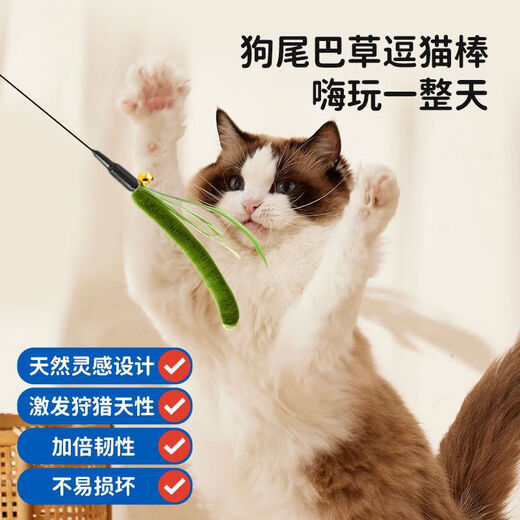 Cat Toy Dog Tail Grass Long Cat Flirting Stick Cat Toy Self-Happiness and Boredom Relief Artifact Kitten Toy Cat Supplies Dog Tail Grass Flirting Cat Stick Green 1 Pack