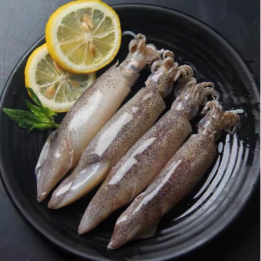 Wild fresh sea-caught quick-frozen fish, Aplysia squid roe, direct delivery from Lianyungang, fresh sea-caught fish 500g*5 packs 5 Jin Jin equals 0.5 kg