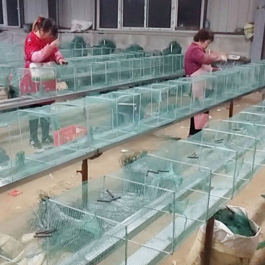 Shrimp pot fishing net, fish net, lobster net, thickened fishing pot, fish pot, shrimp net, river shrimp net, eel, loach and lobster net, white, 15 meters, 33 sections, 24 holes, full set of belt pendants