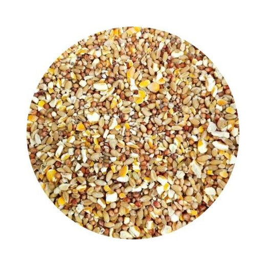 Sorghum, wheat and chopped corn mixed to feed chickens, corn crushed residue, corn grits, chicken and duck grain, pigeon grain, rabbit, pig, hamster, 1 Jin Jin is equal to 0.5 kg (sorghum + wheat + chopped corn mixed)