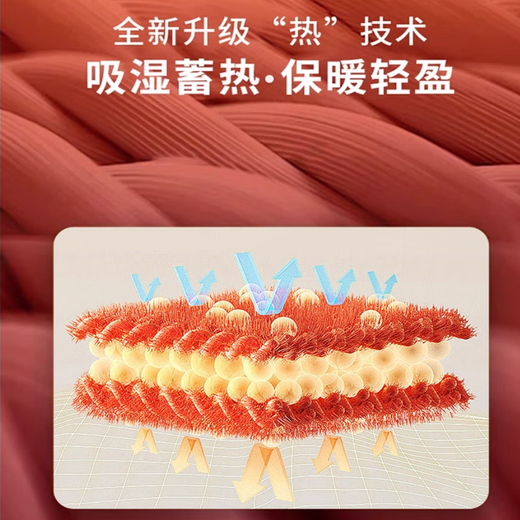 Winter thickened warm wool hat for the elderly, grandma, middle-aged and elderly windproof neck protection knitted cotton hat, multi-color one-size-fits-all purple one-size-fits-all