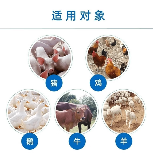 Veterinary licorice granules 1000g licorice powder for pigs, pigs, cattle and sheep feed additives, poultry, chickens and ducks, cough, asthma and cold 1000g/bag licorice granules 4 bags