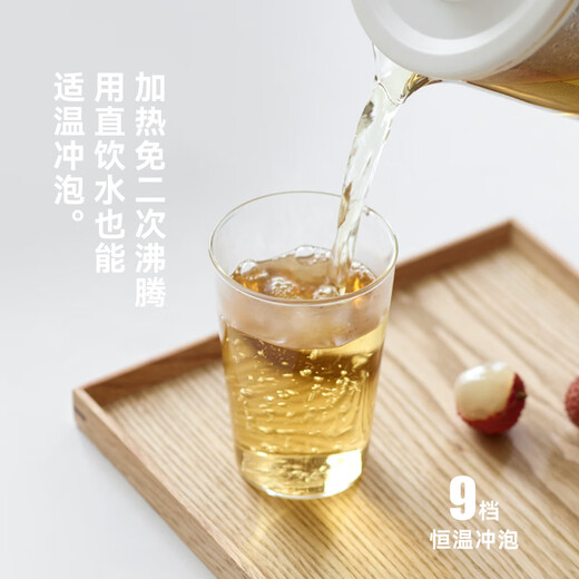 Olayks Lishi Qingchuan health pot small office 2025 new kettle boiling kettle teapot large filter tea boiler stew all in one OLK-YSH03