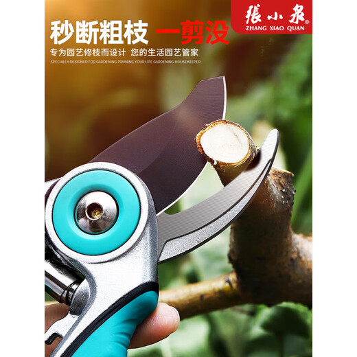 Zhang Xiaoquan pruning scissors, garden flower arrangement, fruit tree pruning, large and labor-saving household tools, scissors, SK5 fine grinding mouth
