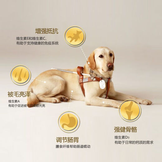 Lebaibei Dog Food Golden Retriever Teddy 5/10/20 Bichon Frize, Corgi, Samo Pomeranian Adult Dog Puppy Big Bag Universal Type 5Jin Jin is equal to 0.5kg