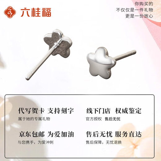 LIU GUI FU JEWELRY Platinum Star Earrings for Women 1g Gold Earrings for Ear Holes Simple and Versatile Anniversary Birthday Gift for Girlfriend and Wife 1.18g Platinum Star Earrings