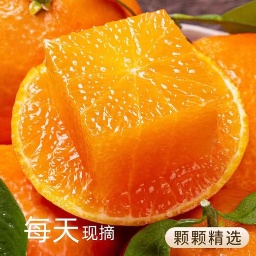 SHINE GRACE Ehime Nr. 38 Jelly Orange Sichuan Orange Ganze Box Saisonales Obst Frische Orange Geschenkbox Hochwertige Farbbox Schaumstoffhalter mit Box 8,5–9 Jin Jin entspricht 0,5 kg Sparsam verpackte extra große Frucht Einzelfrucht 75 mm+ Nettogewicht 8 Jin Jin entspricht 0,5 kg