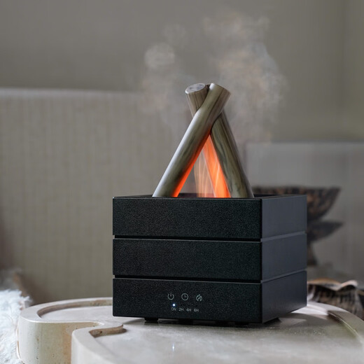 MDNG is suitable for hotel creative atmosphere bonfire humidifier office colorful simulated flame essential oil aromatherapy machine cross-border wholesale black TYPE-C