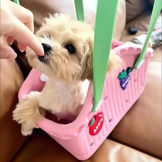 狗狗猫咪便携托特包宠物小型犬夏天外出神器手提篮约克夏马尔济斯 淡粉绿[撞色多巴胺*可DIY配饰] M-中型[建议8斤内爱宠]