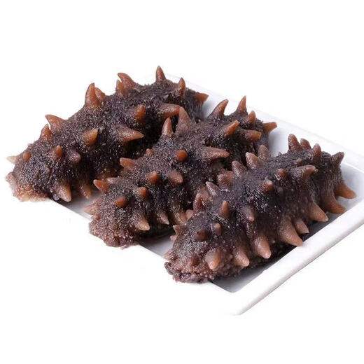 9A Dalian Liao sea cucumber fresh sea cucumber, pregnant women, edible tonic for the elderly and children, ready-to-eat sea cucumber 4-6 pieces/Jin Jin equals 0.5 kg, ready-to-eat sea cucumber 1 Jin Jin equals 0.5 kg (4-6 pieces)