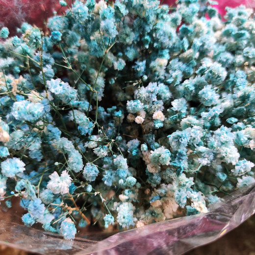 Gypsophila dried flower bouquet preserved flower material light blue