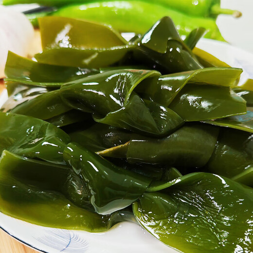 福建霞浦盐渍海带结新鲜特厚昆布无沙高泡发低盐火锅炒菜商用批发 盐渍海带结1包500g
