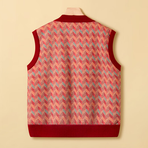 Fengxiao mother's clothing autumn and winter plus velvet vest jacket 2025 new middle-aged and elderly clothes grandma and old lady vest