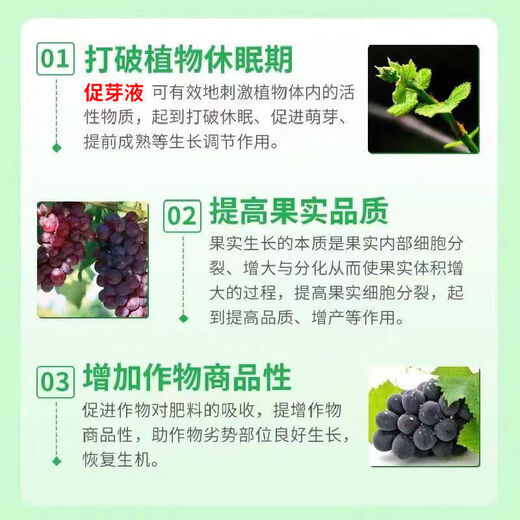 Taihui Li Cuiyang 50% monocyanamide ammonia grape peach and kiwi fruit tree bud-breaking sleep-inducing agent monohydroammonium growth regulator 1000ml*1 bottle Production date September 25 Shelf life 2 years
