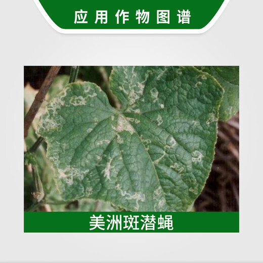 Heyi Jiangxi Heyi Qianke 50% cyromazine cucumber leafminer pesticide insecticide insect growth regulator 8g