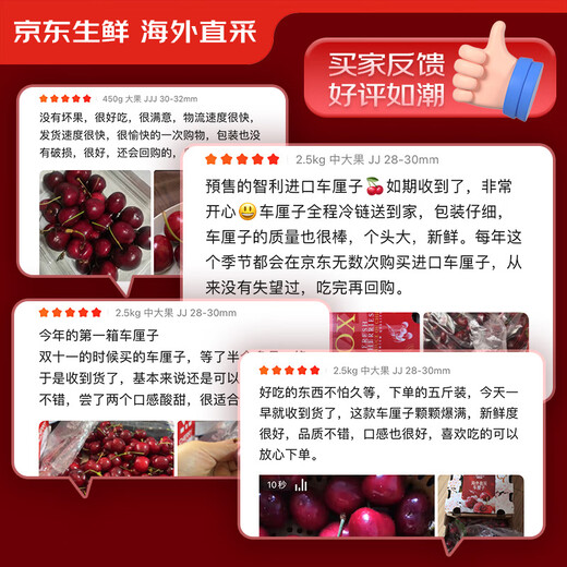 Jingxiansheng imported Chilean cherries 2J grade 450g package, fruit diameter about 28-30mm, fresh fruit