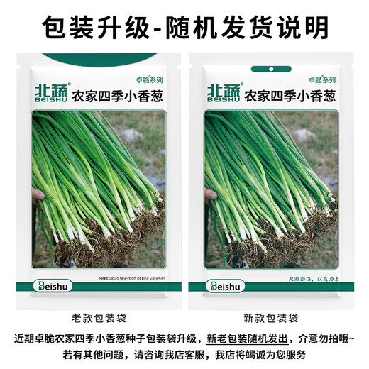 Beishu Four Seasons Chive Seeds Green Onion Seedlings Home Planting Potted Vegetable Seeds Four Seasons Chive Seeds 1000 capsules