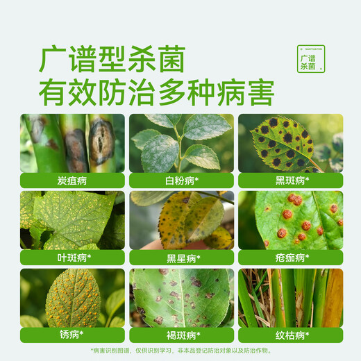 Stanley Difenoconazole Anthracnose Leaf Spot White Powder Black Spot Commonly Used Fungicides for Rose Flower Diseases and Pests 100g Comes with a graduated dropper when ordering