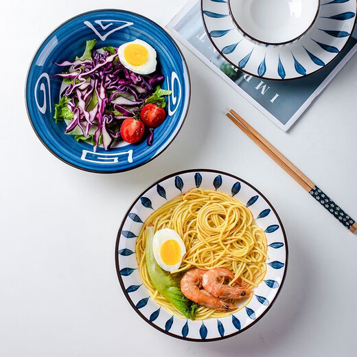 Jinghang bowl and dish set ceramic tableware household bowls and chopsticks bowls and plates kitchen utensils plate combination underglaze color tableware for 2-4 people Meteor 2 bowls 2 plates 2 soup bowls 2 spoons 2 chopsticks) 10 heads