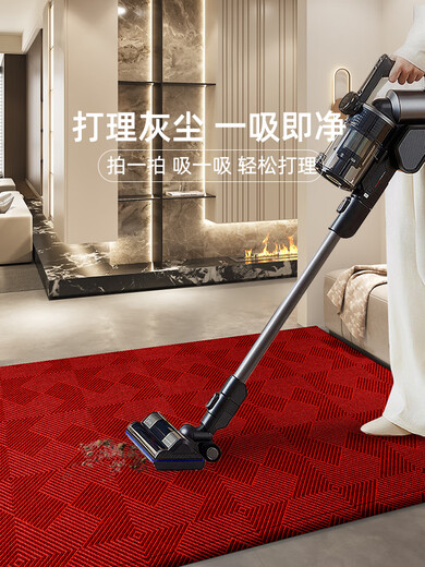 Yunpo entry-level carpet high-end 2025 new high-end red door pads non-slip stain-resistant door carpet Lexe-15865 120x140cm
