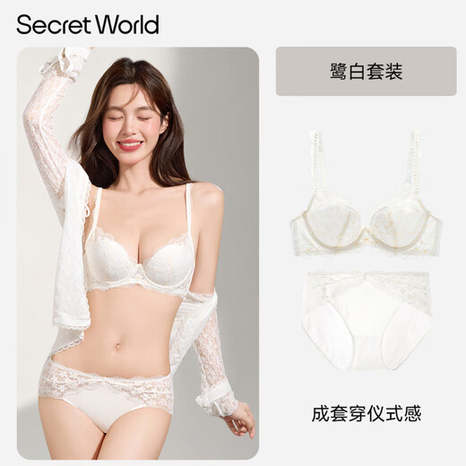 SECRET WORLD Lace Small Breast Push Up Underwear Women's Pure Desire Anti-Sagging Thin Sexy Women's Bra Set Spring Romantic Set Lubai S (70B-160/85)