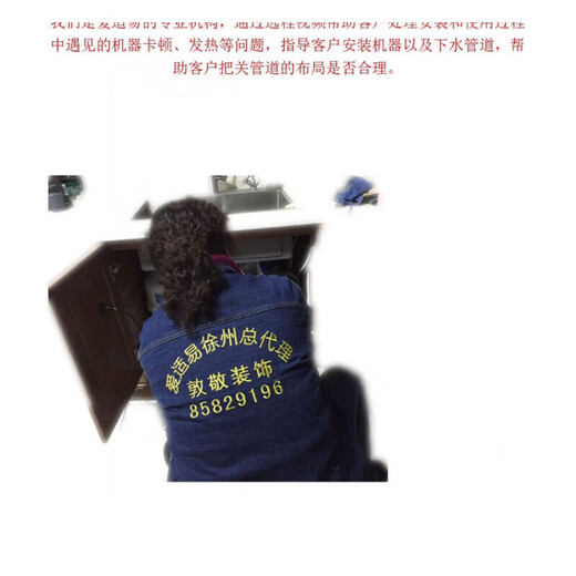 InSinkEasy installation, disassembly and repair American kitchen garbage disposer hot drink machine American version modified to Chinese version blue