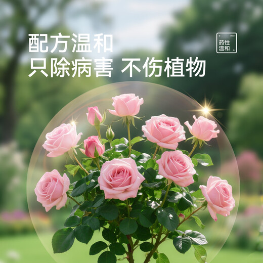 Stanley Difenoconazole Anthracnose Leaf Spot White Powder Black Spot Commonly Used Fungicides for Rose Flower Diseases and Pests 100g Comes with a graduated dropper when ordering