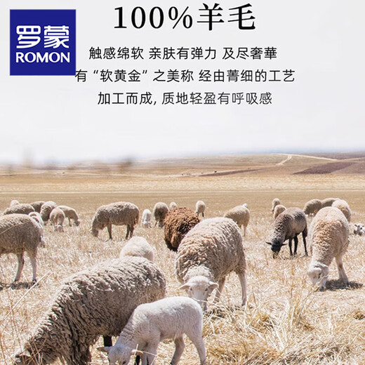 ROMON 2025 new winter double-strand thickened 100% wool sweater men's half-turtleneck sweater loose knitted bottoming sweater medium gray 3XL (185) recommended 160-180Jin Jin equals 0.5 kg