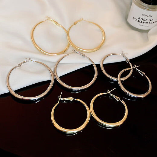 Silver Needle Plain Circle Earrings European and American Simple High-end Earrings Fashion Versatile Niche Design Earrings for Women Wholesale Silver Needle - Silver