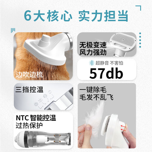 LAIWANG Brothers Secador de cabello para mascotas y perros Bañándose cabello soplando agua Máquina de soplado Secadora PD-9900 Blanco