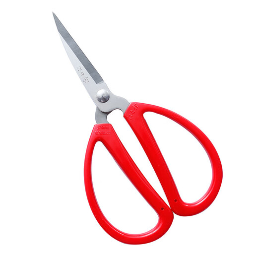 Wang Wuquan Schere, Haushalt, Edelstahl, große und kleine Schere, Büroschere, Küche, Schreibwaren, Basteln, Papierschneiden, Schneiderschere, 2001, volle Länge, 19,8 cm, kostenloses Scherenset